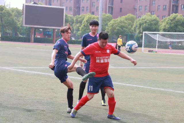 两支新队加盟，WCBA迎来回暖拐点